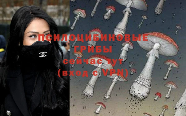 ешки Алзамай
