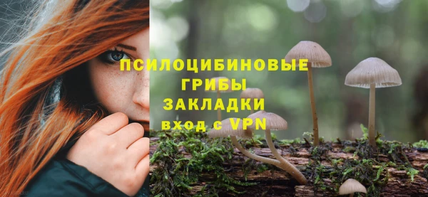 ешки Алзамай